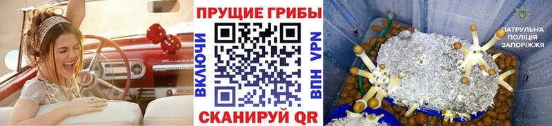 Галлюциногенные грибы мицелий  Вилючинск 